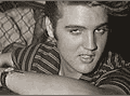 elvis-presley-pic